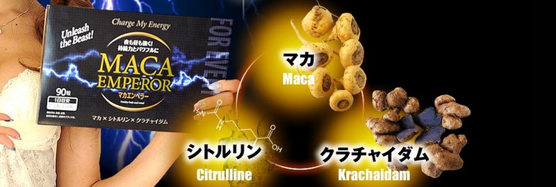 }JGy[ MACA EMPEROR̔TCg